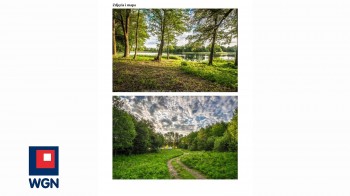 Działka budowlana na sprzedaż Rydzewo